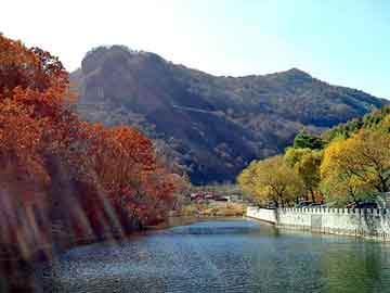 新澳天天开奖资料大全旅游团，饲料级缬氨酸